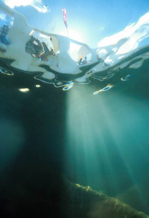 The USS Arizona Memorial, as seen from underwater, looking upwards.